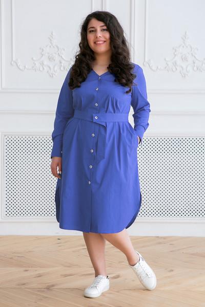 Сукня-сорочка «Тесса» блакитного кольору